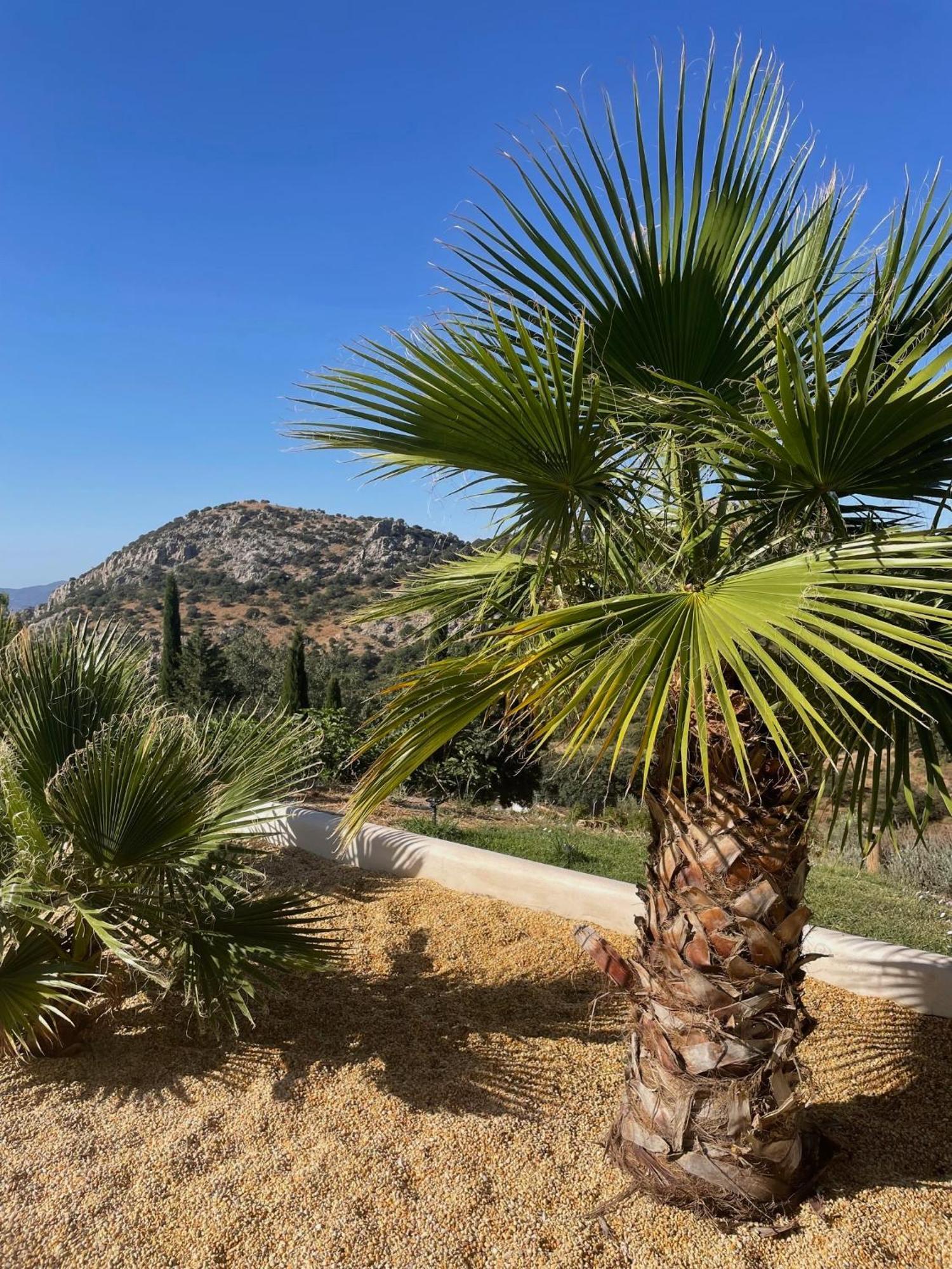 Cortijo Rancho Verde Кольменар Екстер'єр фото